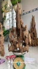 Hết hàng_Trầm hương cảnh - Trầm cảnh Tốc kiến vườn khối ghép thumb 2