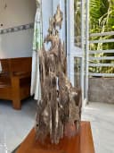 Hết hàng_Trầm hương cảnh trang trí khối lớn _ Trầm kiến chuẩn trầm tự nhiên vân mộc dáng độc đáo cao 60 cm thumb 3