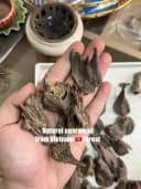 Trầm hương xông Trầm chóp đảo siêu dầu_Bộ sưu tập nhỏ từ rừng Việt Nam thumb 2