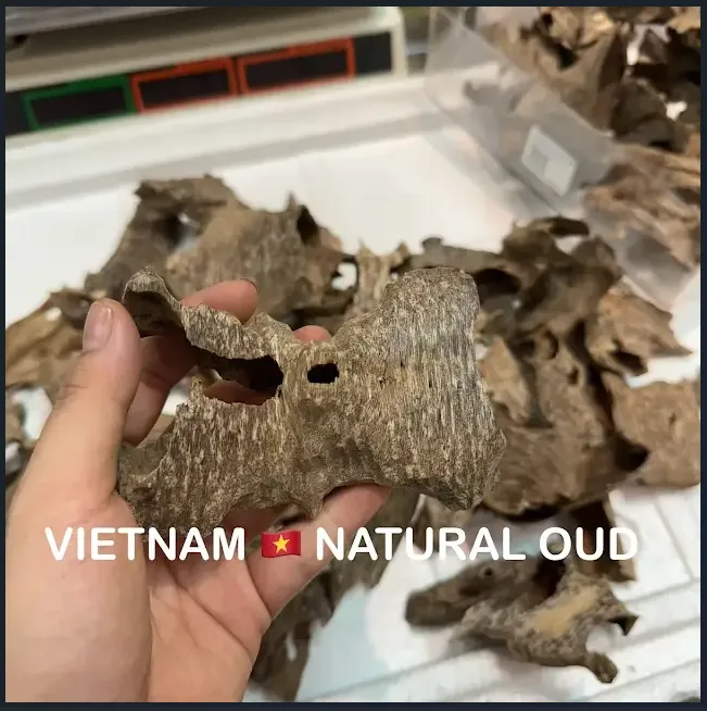 Thượng hạng_Trầm hương miếng tự nhiên trầm khoan ổ nhiều tinh dầu