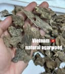 Thượng hạng_ Trầm hương tự nhiên_Trầm vụn khoan, miếng trầm dầu tốt tự nhiên Mộc Trầm Agarwood thumb 11