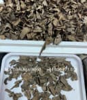 Thượng hạng_ Trầm hương tự nhiên_Trầm vụn khoan, miếng trầm dầu tốt tự nhiên Mộc Trầm Agarwood thumb 5