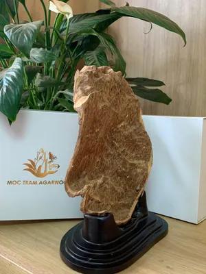 https://moctramagarwood.com - Hình ảnh