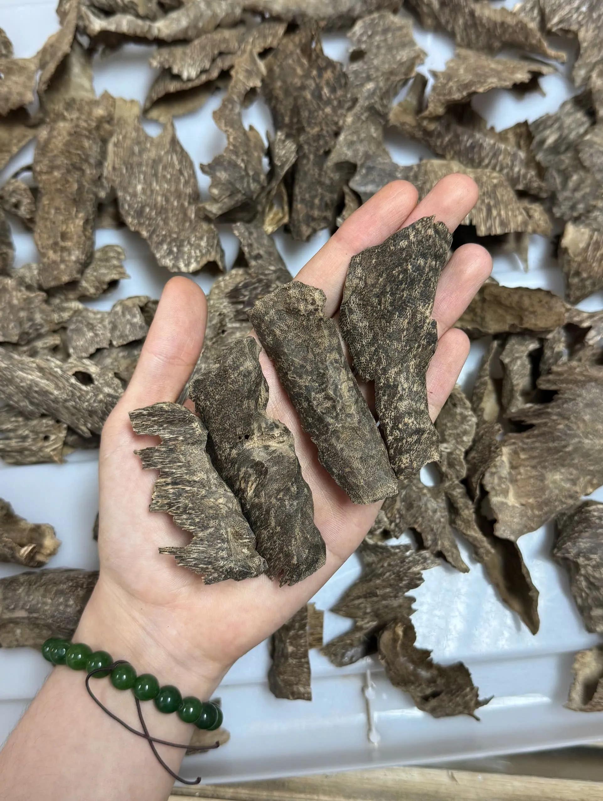https://moctramagarwood.com - Hình ảnh
