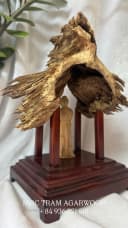 KHỐI TRẦM CẢNH TỰ NHIÊN - TRẦM RỪNG NHA TRANG - MOC TRAM AGARWOOD thumb 3