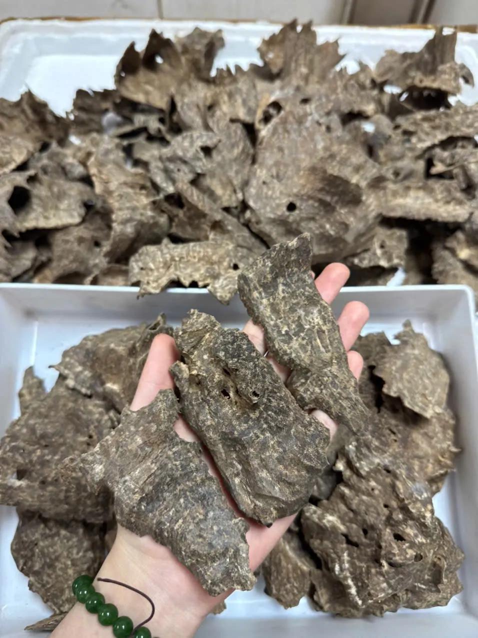 https://moctramagarwood.com - Hình ảnh