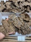 Thượng hạng_Trầm Mọ_ Trầm Cú Trầm hương miếng Nhiều tinh dầu tự nhiên toả hương thơm mạnh xông nhà, tẩy uế, thưởng trầm thumb 4