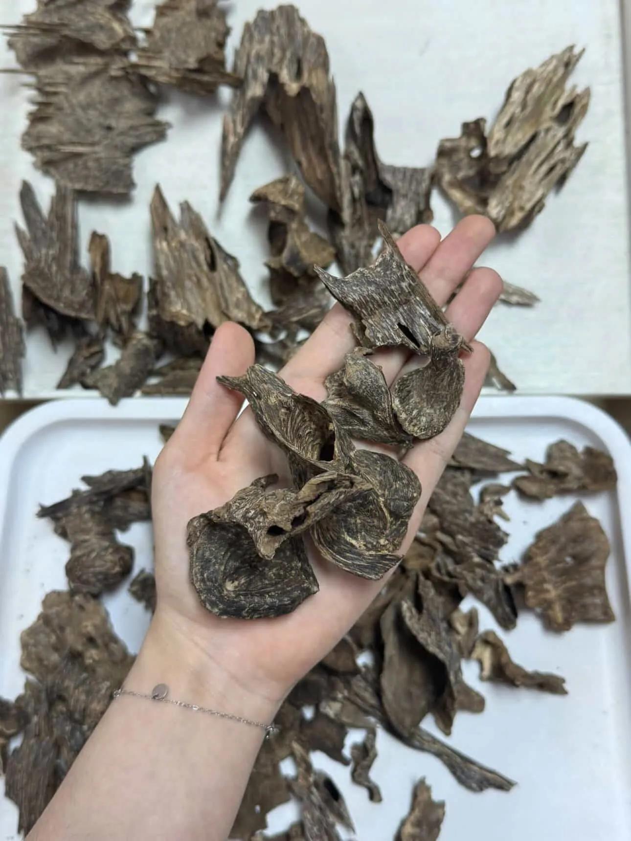 https://moctramagarwood.com - Hình ảnh