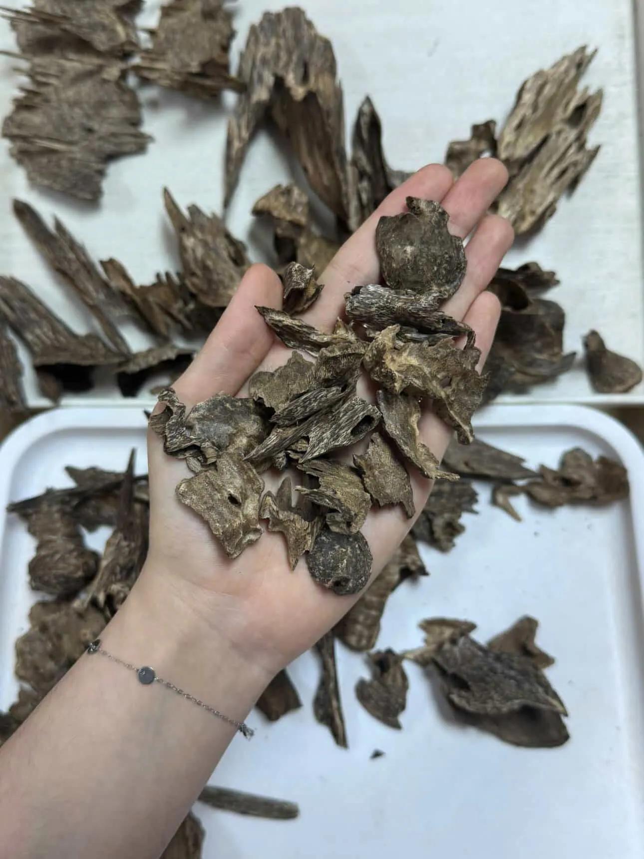 https://moctramagarwood.com - Hình ảnh