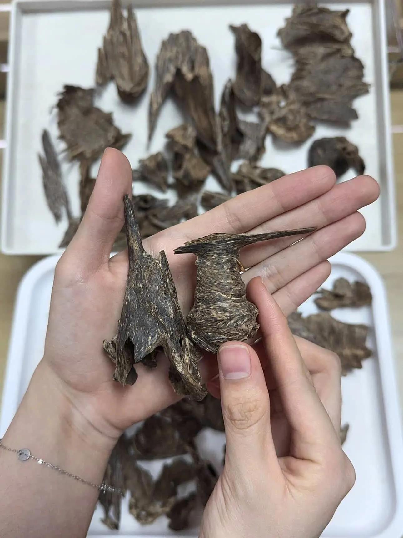 https://moctramagarwood.com - Hình ảnh