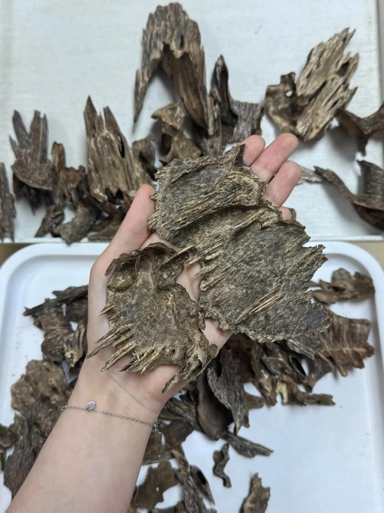 https://moctramagarwood.com - Hình ảnh