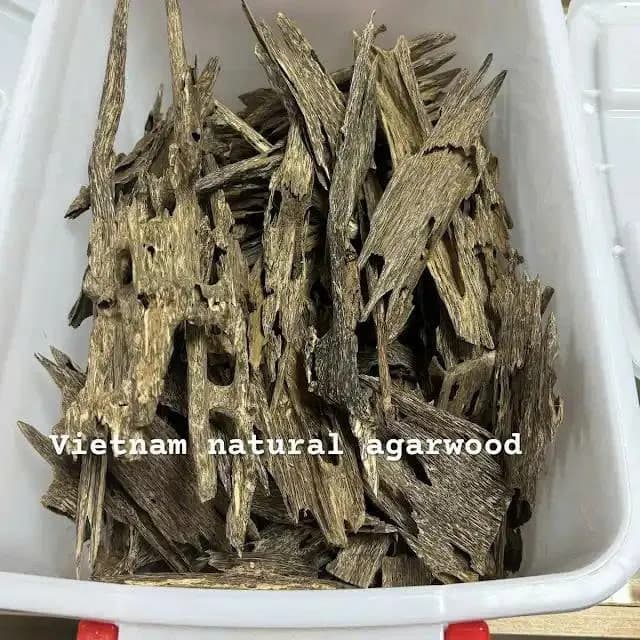 Thượng hạng_Trầm Kiến_Trầm Núi từ Nha Trang 