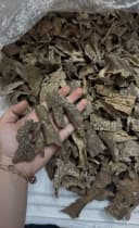 Cao cấp _Trầm chân khoan_ Chui khoan, Miếng trầm hương xông nhà thưởng trầm thumb 2