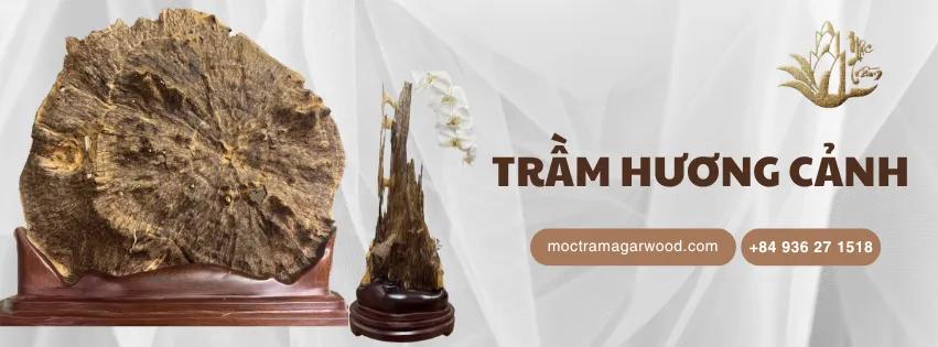 https://moctramagarwood.com - Hình ảnh