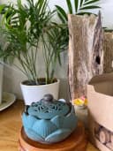 Lư xông đỉnh đốt nhang nụ nhang khoan Trầm hương Hoa sen xanh cao cấp (rộng 10.5 cm) thumb 7