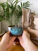 Lư xông đỉnh đốt nhang nụ nhang khoan Trầm hương Hoa sen xanh cao cấp (rộng 10.5 cm) thumb 10