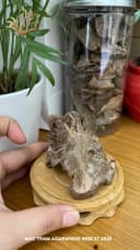 Hết hàng_Trầm hương cảnh - Trầm cảnh mini tự nhiên để bàn làm việc ông địa trang trí, thu hút tài lộc thumb 9