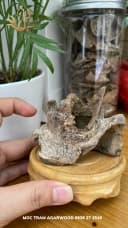 Hết hàng_Trầm hương cảnh - Trầm cảnh mini tự nhiên để bàn làm việc ông địa trang trí, thu hút tài lộc thumb 10