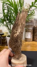 Hết hàng_Trầm hương cảnh - Trầm cảnh mini tự nhiên để bàn làm việc ông địa trang trí, thu hút tài lộc thumb 6