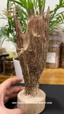 Hết hàng_Trầm hương cảnh - Trầm cảnh mini tự nhiên để bàn làm việc ông địa trang trí, thu hút tài lộc thumb 4