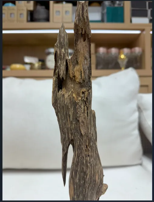 Hết hàng_ Trầm hương cảnh trang trí tự nhiên và chọc lọc nguyên khối cao 38 cm