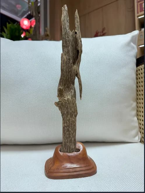 Hết hàng_ Trầm hương cảnh trang trí tự nhiên và chọc lọc nguyên khối cao 38 cm