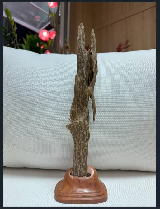 Hết hàng_ Trầm hương cảnh trang trí tự nhiên và chọc lọc nguyên khối cao 38 cm