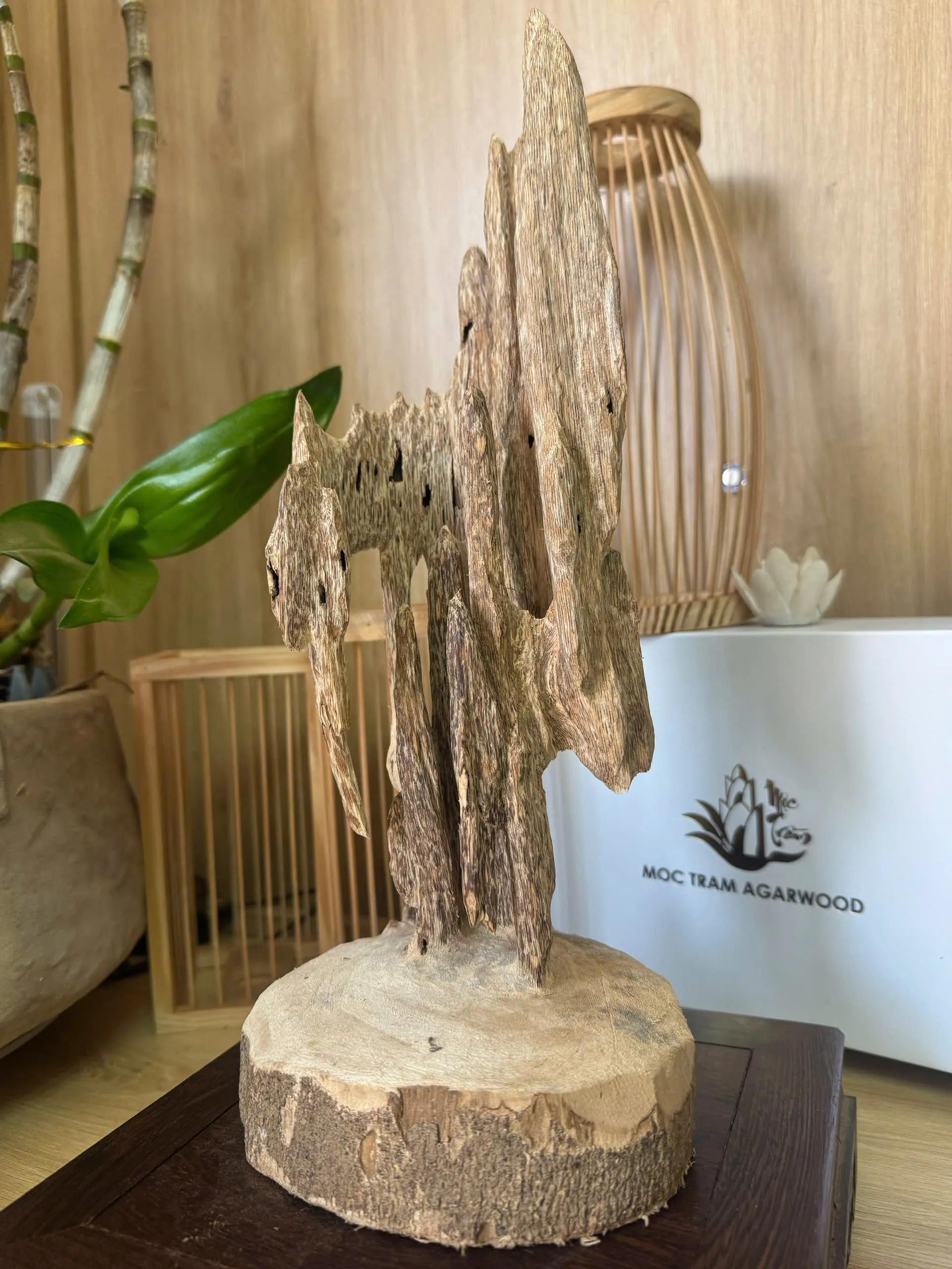 https://moctramagarwood.com - Hình ảnh