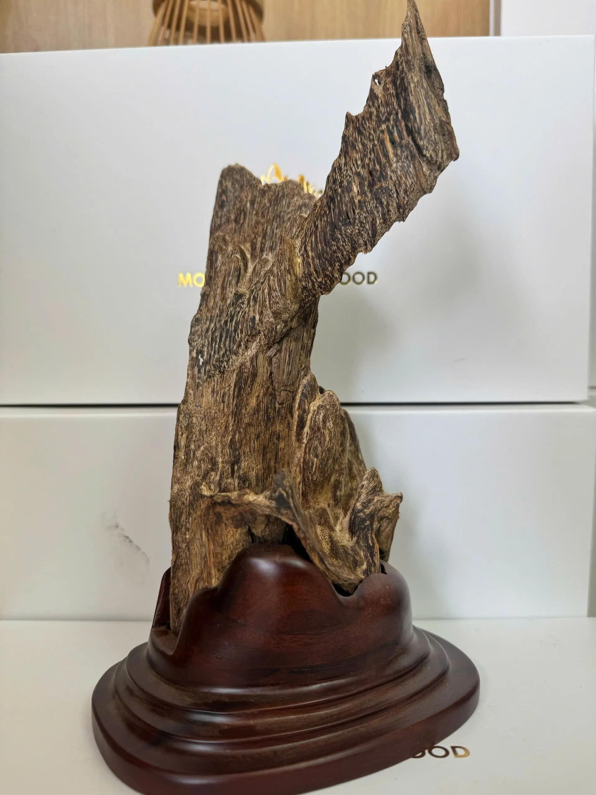 https://moctramagarwood.com - Hình ảnh