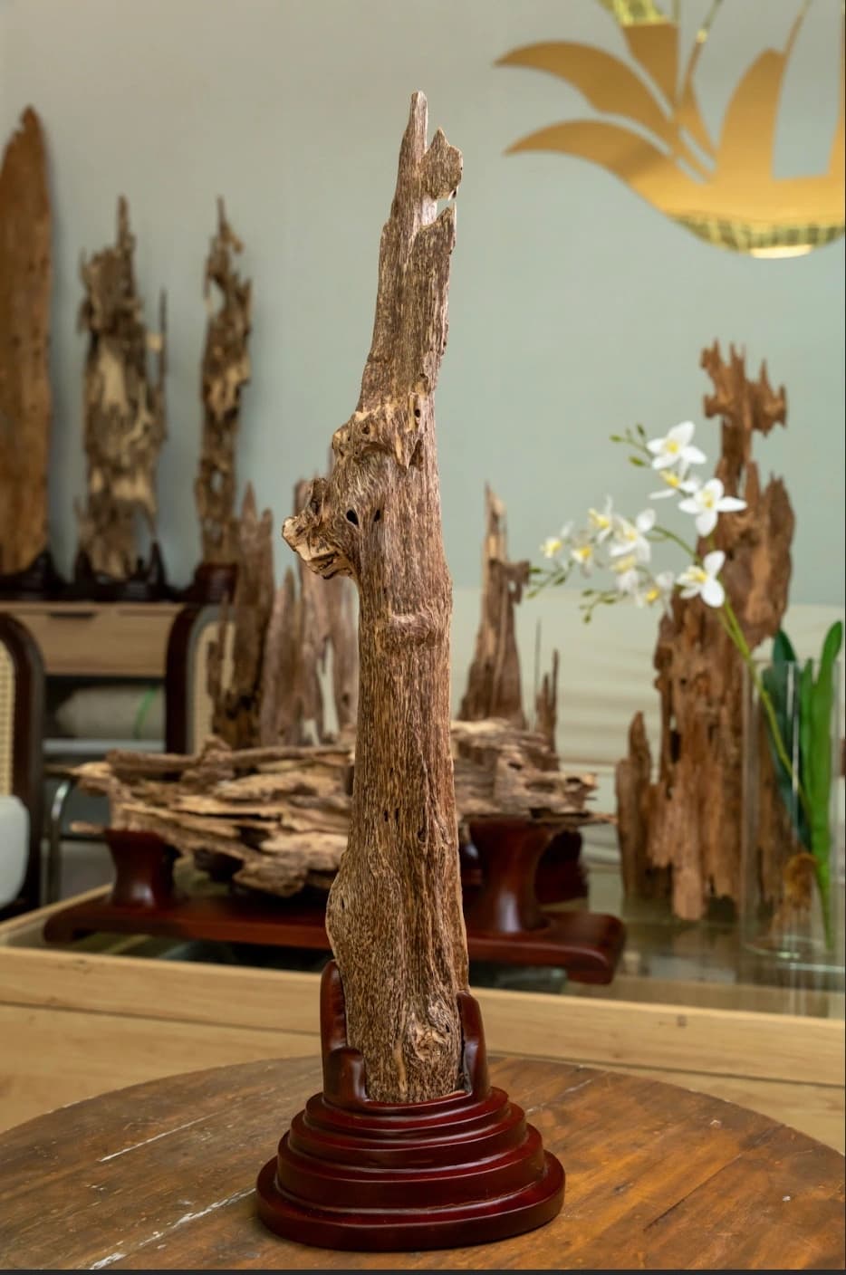 Trầm hương cảnh rừng Khánh Hòa_Khối trầm hương tự nhiên trang trí