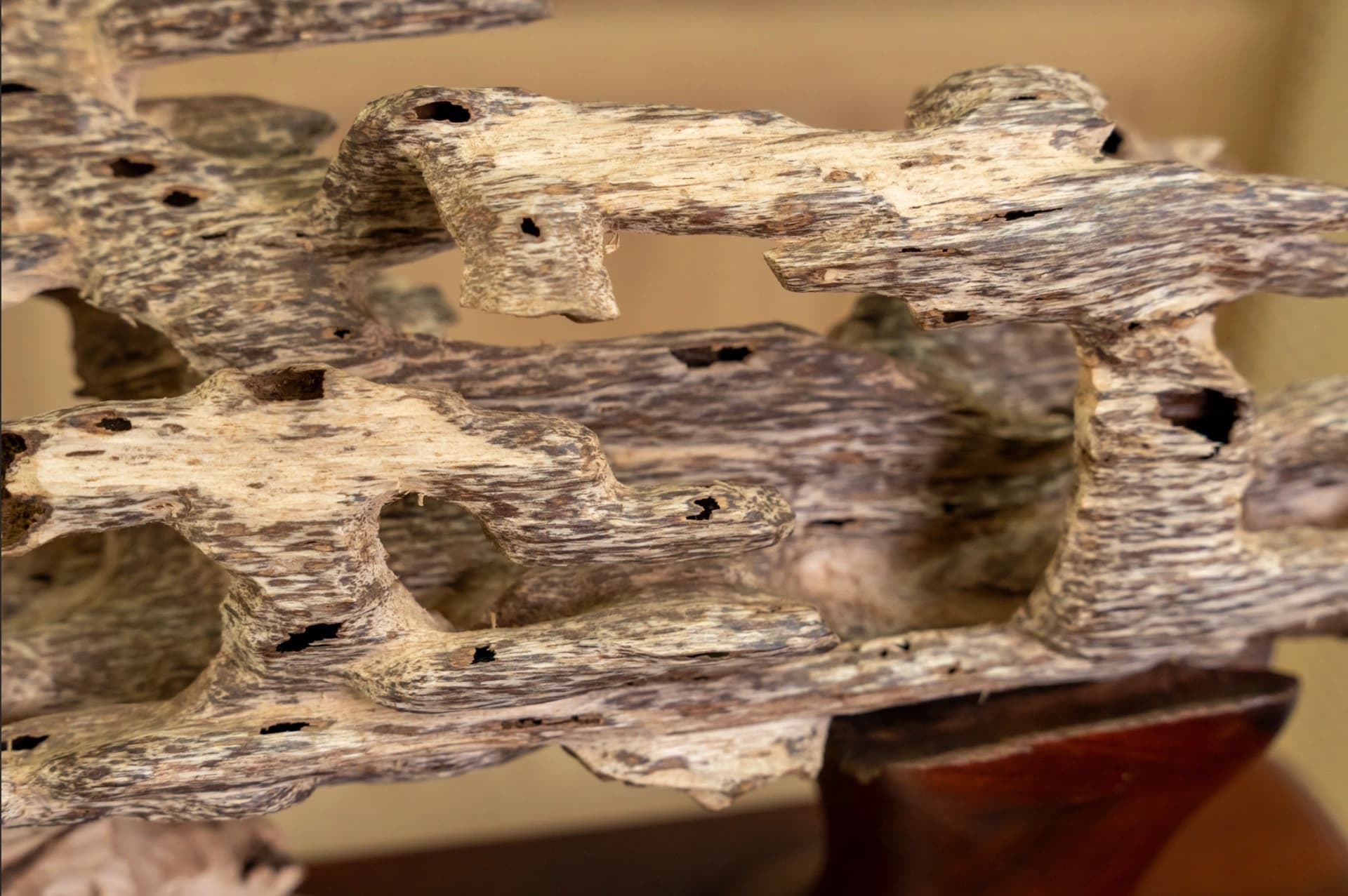 hối trầm hương cảnh trang trí đặt bàn mini, dáng tự nhiên hoang dã_ Trầm cảnh núi rừng Nha Trang Khánh Hoà.