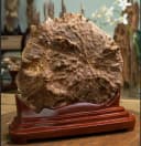 Trầm Hương Cảnh “Nguyệt Quang” – Tinh Hoa Nghệ Thuật Từ Thiên Nhiên thumb 5