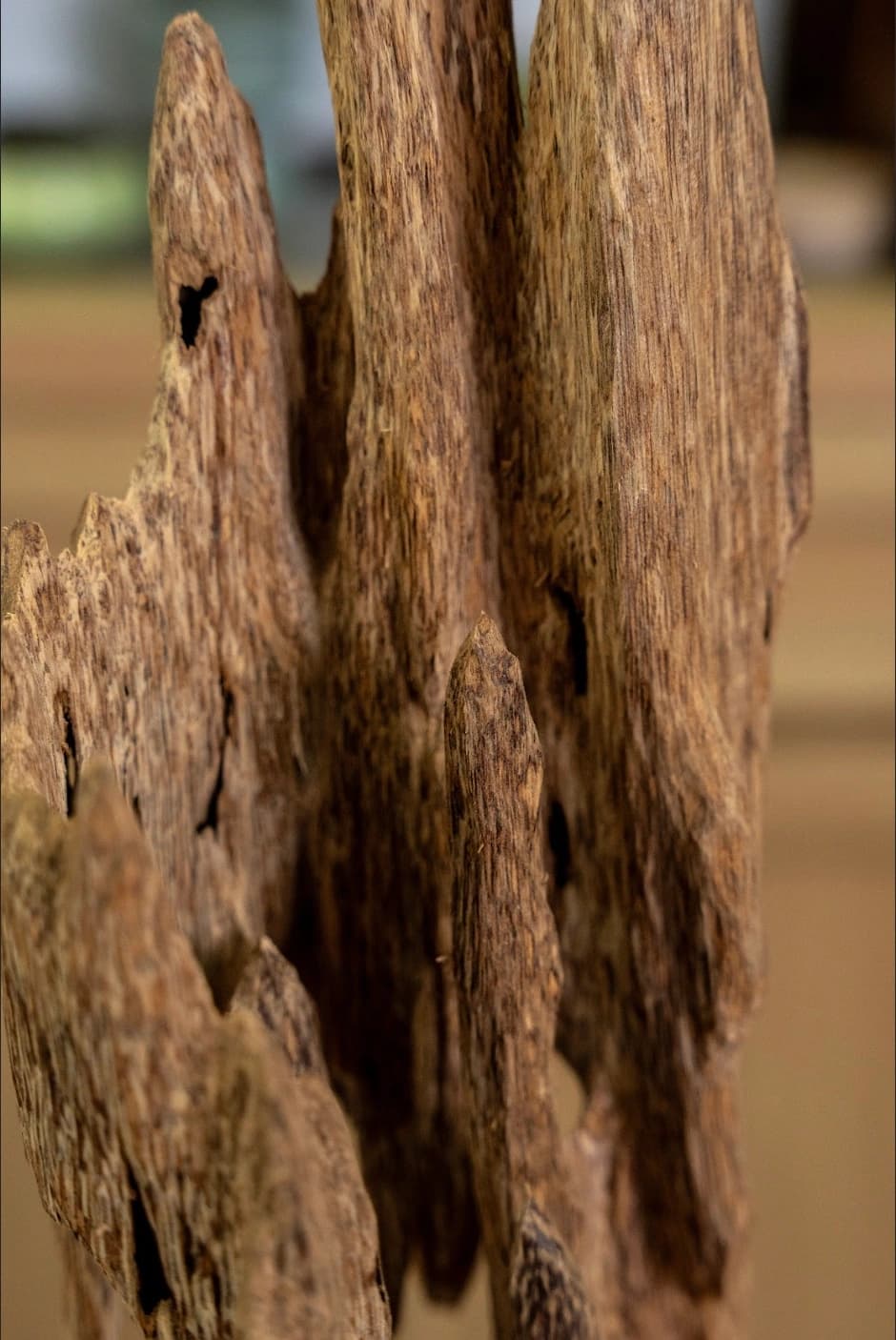 Trầm hương cảnh_Khối trầm hương cảnh trang trí cao 15cm