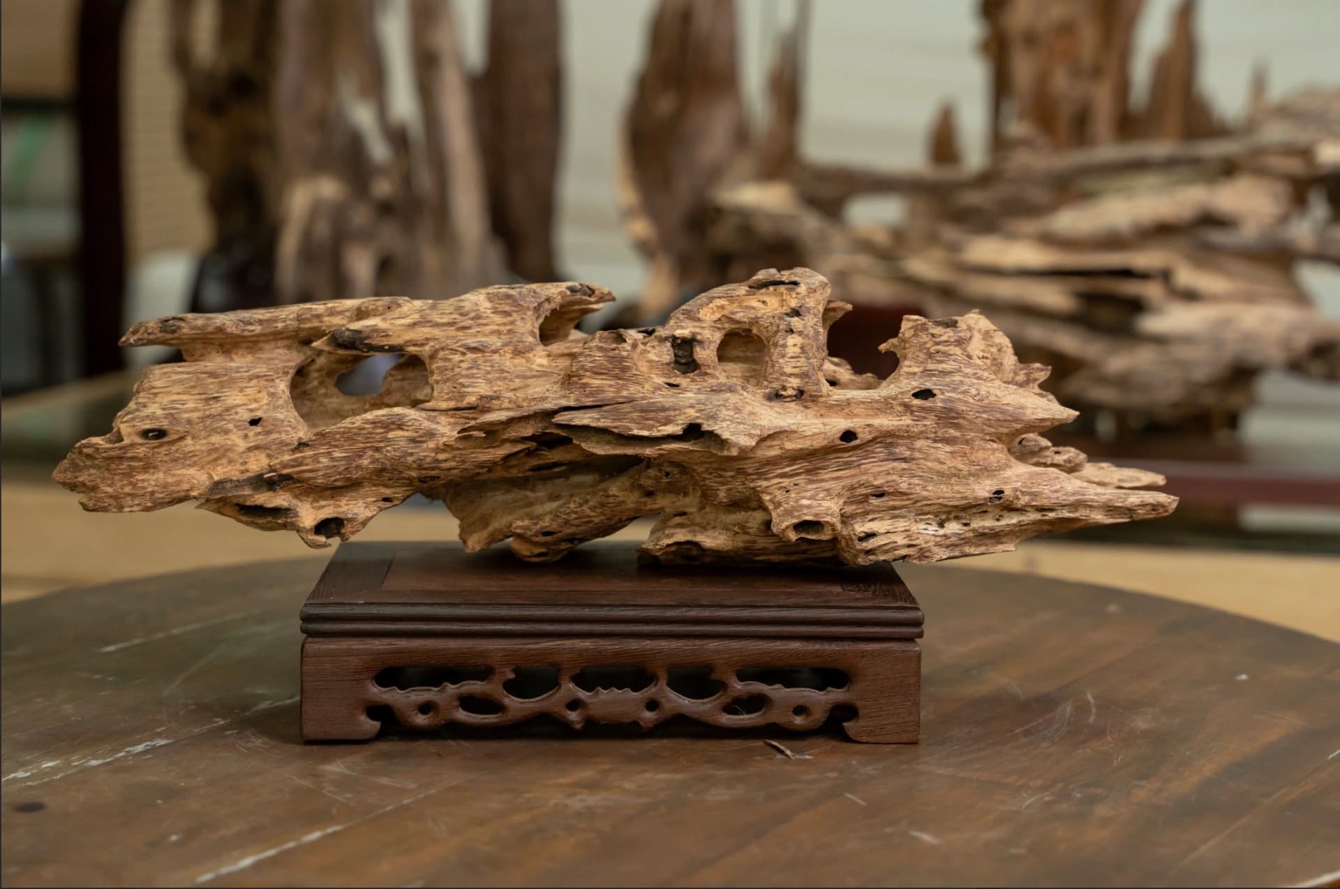 Trầm cảnh tự nhiên - quà tặng, vật trang trí cao cấp Mộc Trầm Agarwood