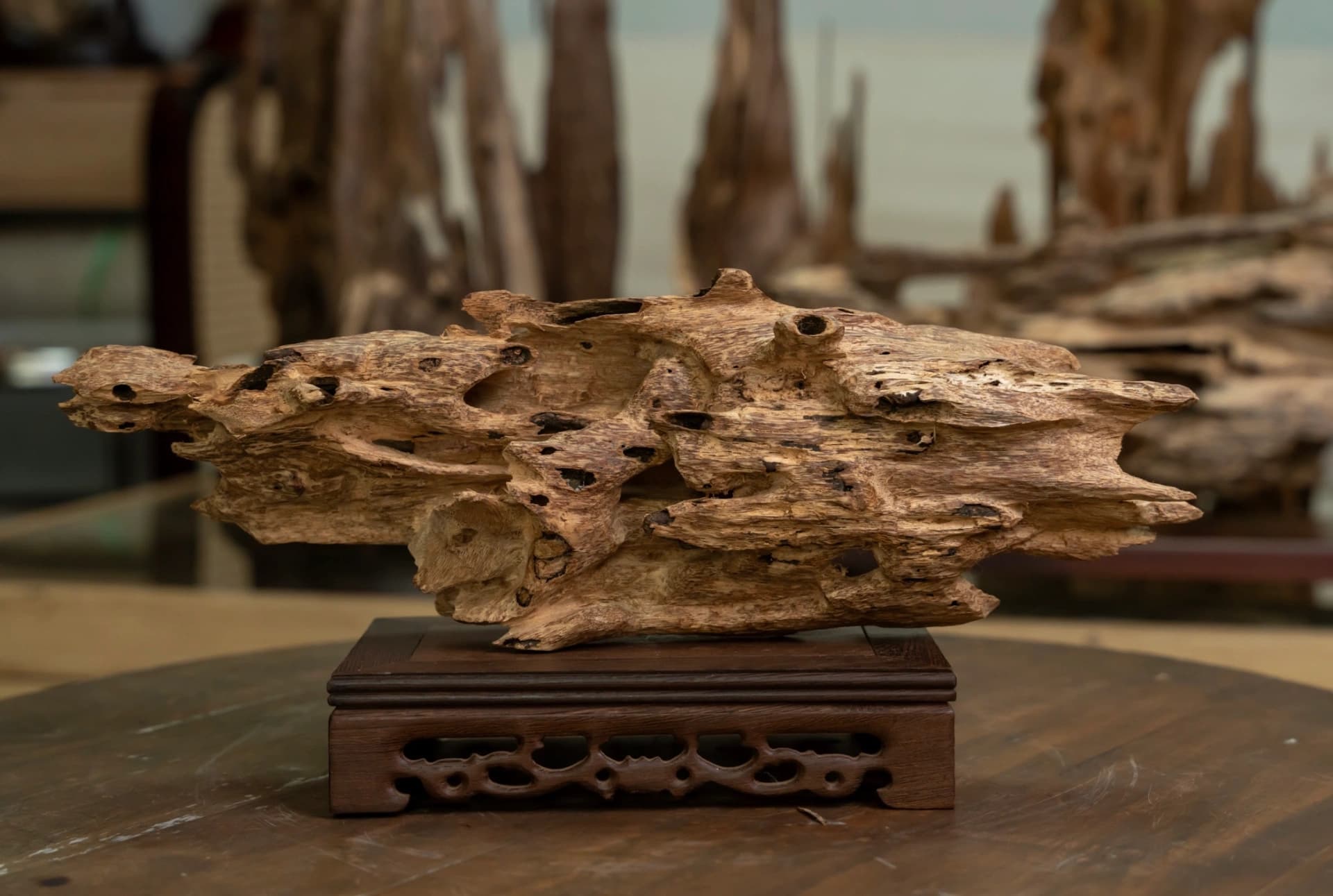 Trầm cảnh tự nhiên - quà tặng, vật trang trí cao cấp Mộc Trầm Agarwood