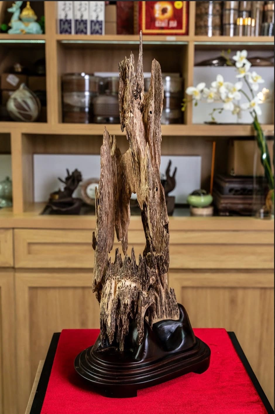 Trầm Hương Cảnh Trang Trí Nhà Ở – Không Gian Bình An – Thơm Thanh Nhẹ Cao 56 cm