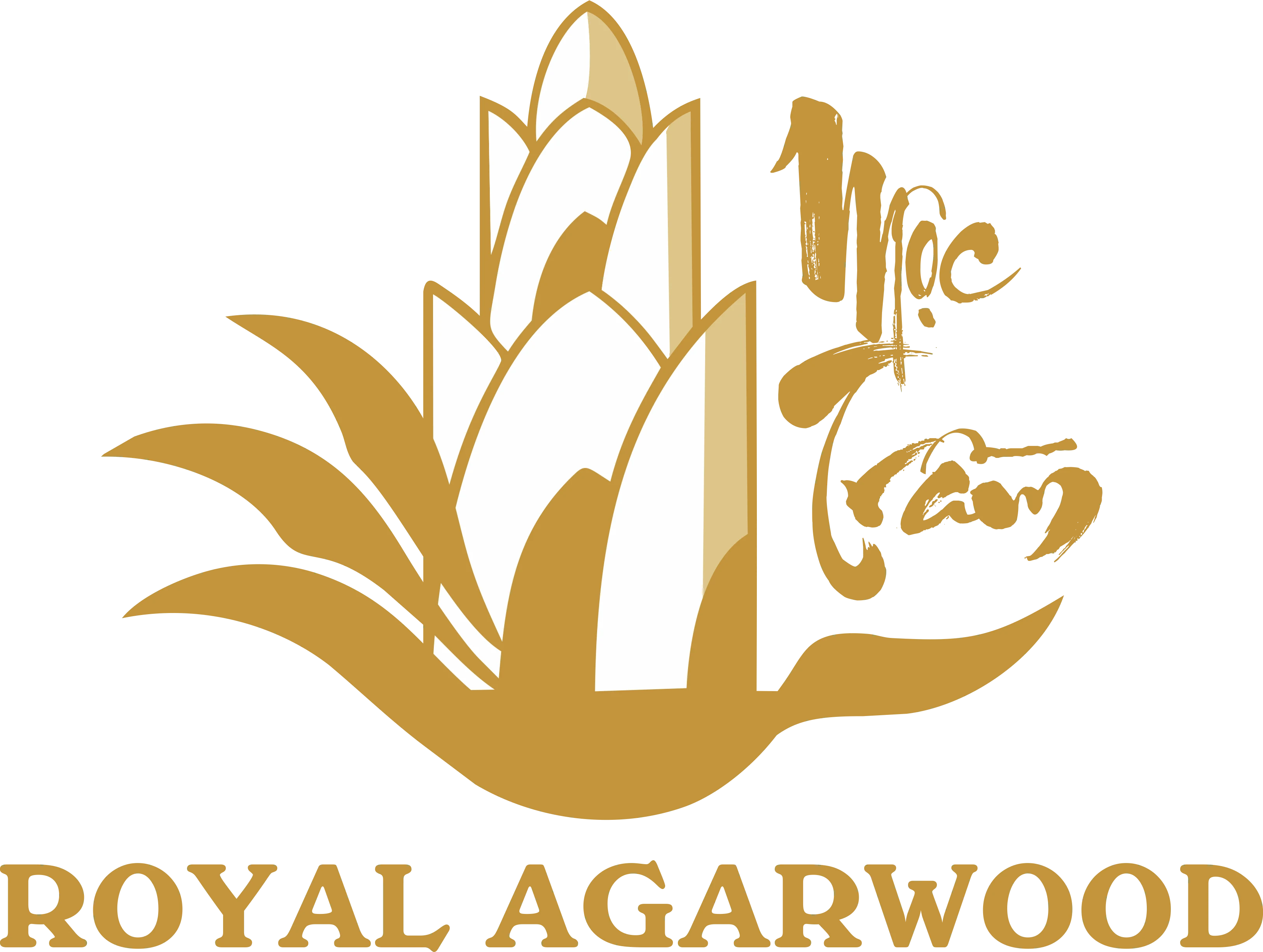 Mộc Trầm Agarwoord